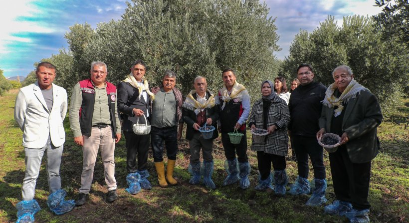 Aliağa'da Zeytinin Bereketi 4.Zeytin Hasat Şenliği'nde Kutlandı